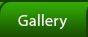 Photo Gallery