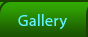 Photo Gallery